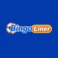 Casino Bingo Liner