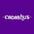 Cassino Cadabrus