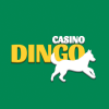 Casino Dingo