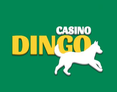 Kasino Dingo
