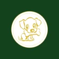 Casino Chien Vert