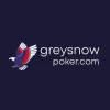 Casino Grey Snow