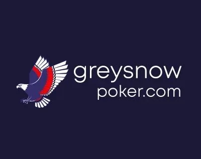 Casino Grey Snow