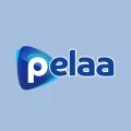 Pelaa Casino