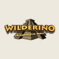 Cassino Wilderino