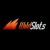 Casino WildSlots