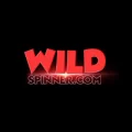 WildSpinner Casino