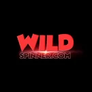 Casino WildSpinner